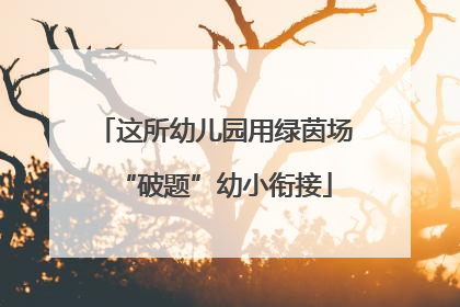这所幼儿园用绿茵场“破题”幼小衔接