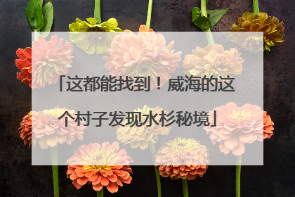 这都能找到！威海的这个村子发现水杉秘境