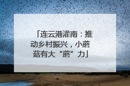 连云港灌南：推动乡村振兴，小蘑菇有大“蘑”力