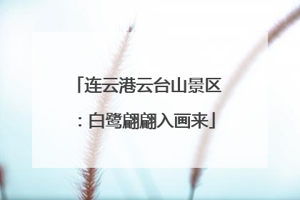 连云港云台山景区：白鹭翩翩入画来