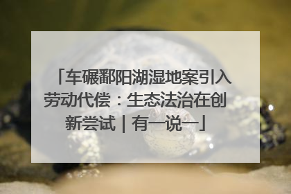 车碾鄱阳湖湿地案引入劳动代偿：生态法治在创新尝试｜有一说一