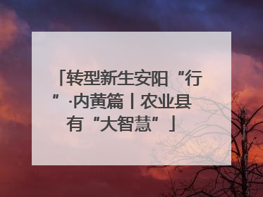 转型新生安阳“行”·内黄篇丨农业县有“大智慧”