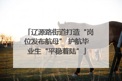 辽源路街道打造“岗位发布航母” 护航毕业生“平稳着陆”