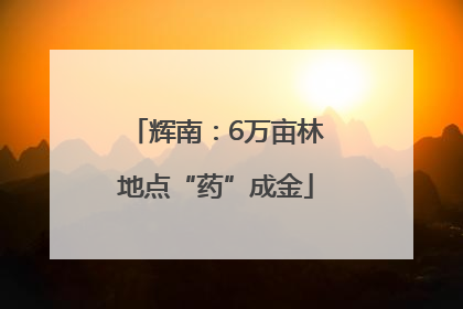 辉南：6万亩林地点“药”成金
