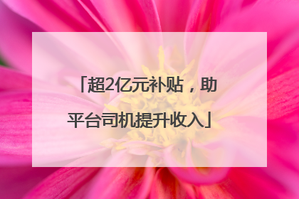 超2亿元补贴，助平台司机提升收入