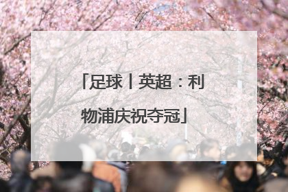 足球丨英超：利物浦庆祝夺冠