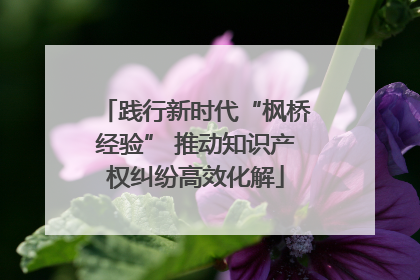 践行新时代“枫桥经验” 推动知识产权纠纷高效化解