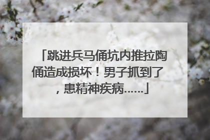 跳进兵马俑坑内推拉陶俑造成损坏！男子抓到了，患精神疾病……