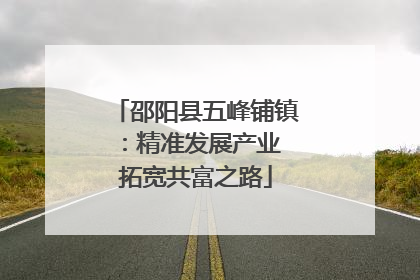 邵阳县五峰铺镇：精准发展产业 拓宽共富之路