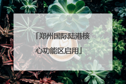 郑州国际陆港核心功能区启用