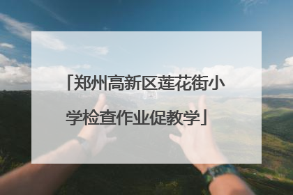 郑州高新区莲花街小学检查作业促教学