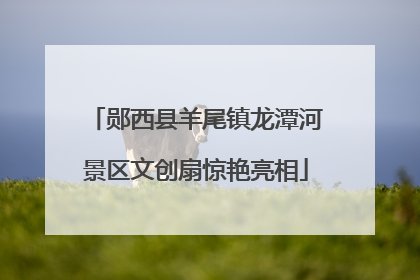 郧西县羊尾镇龙潭河景区文创扇惊艳亮相