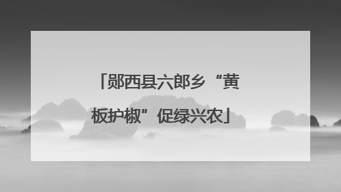 郧西县六郎乡“黄板护椒”促绿兴农