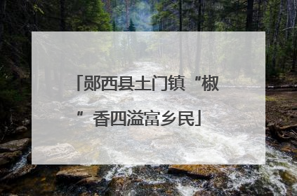 郧西县土门镇“椒”香四溢富乡民