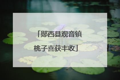 郧西县观音镇桃子喜获丰收