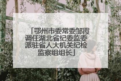 鄂州市委常委邹霞调任湖北省纪委监委派驻省人大机关纪检监察组组长