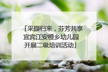 采撷归来，芬芳共享 宜宾江安橙乡幼儿园开展二级培训活动