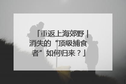 重返上海郊野｜消失的“顶级捕食者”如何归来？