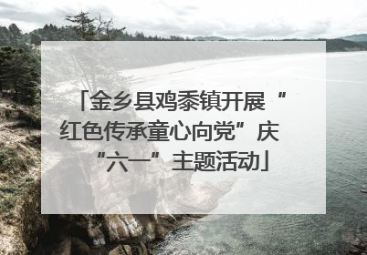 金乡县鸡黍镇开展“红色传承童心向党”庆“六一”主题活动