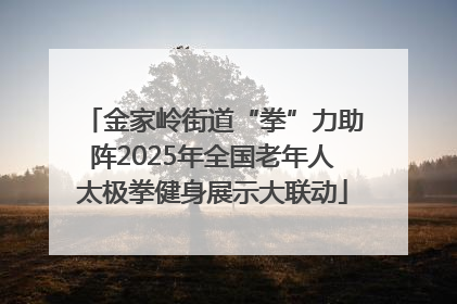 金家岭街道“拳”力助阵2025年全国老年人太极拳健身展示大联动