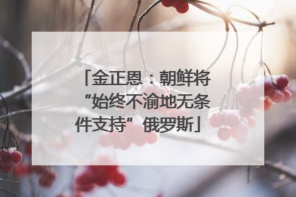 金正恩：朝鲜将“始终不渝地无条件支持”俄罗斯