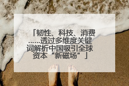 韧性、科技、消费……透过多维度关键词解析中国吸引全球资本“新磁场”