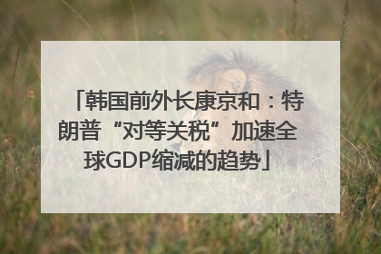 韩国前外长康京和：特朗普“对等关税”加速全球GDP缩减的趋势