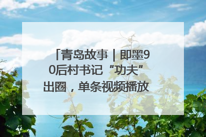 青岛故事｜即墨90后村书记“功夫”出圈，单条视频播放量过600万