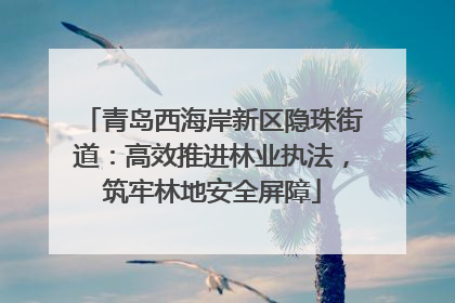 青岛西海岸新区隐珠街道：高效推进林业执法，筑牢林地安全屏障