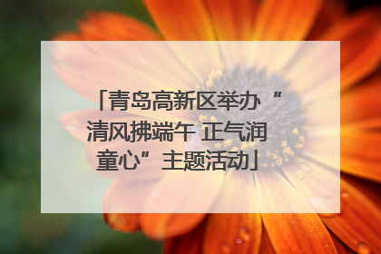 青岛高新区举办“清风拂端午 正气润童心”主题活动