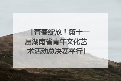 青春绽放！第十一届湖南省青年文化艺术活动总决赛举行