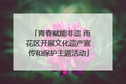 青春赋能非遗 雨花区开展文化遗产宣传和保护主题活动