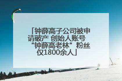 钟薛高子公司被申请破产 创始人账号“钟薛高老林”粉丝仅1800余人