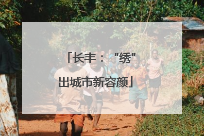 长丰：“绣”出城市新容颜
