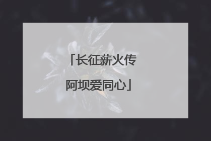 长征薪火传 阿坝爱同心