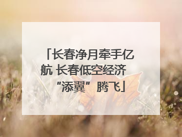 长春净月牵手亿航 长春低空经济“添翼”腾飞