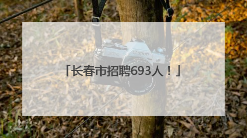 长春市招聘693人！