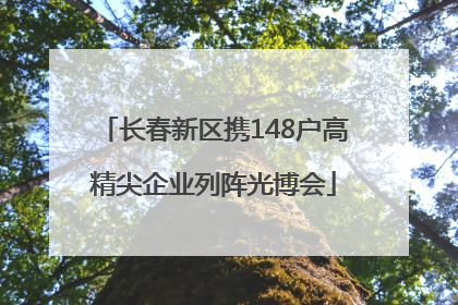 长春新区携148户高精尖企业列阵光博会