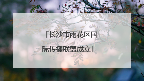 长沙市雨花区国际传播联盟成立