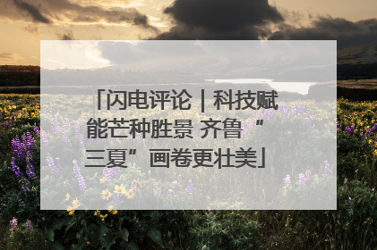 闪电评论｜科技赋能芒种胜景 齐鲁“三夏”画卷更壮美
