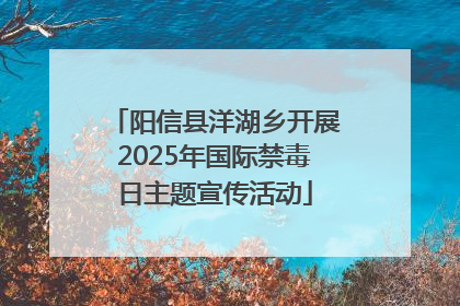 阳信县洋湖乡开展2025年国际禁毒日主题宣传活动