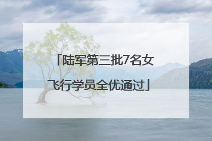 陆军第三批7名女飞行学员全优通过