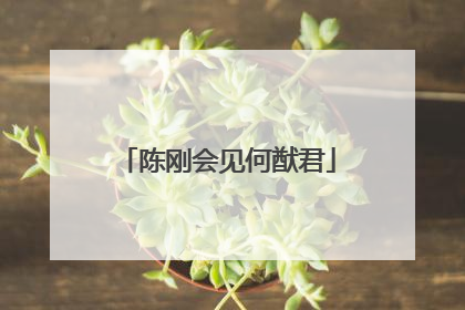 陈刚会见何猷君