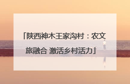 陕西神木王家沟村：农文旅融合 激活乡村活力