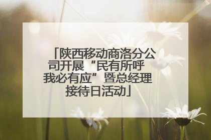陕西移动商洛分公司开展“民有所呼 我必有应”暨总经理接待日活动