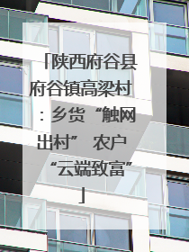 陕西府谷县府谷镇高梁村：乡货“触网出村” 农户“云端致富”