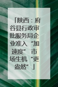 陕西：府谷县行政审批服务局企业准入“加速度” 市场生机“更盎然”