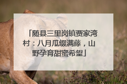 随县三里岗镇贾家湾村：八月瓜缀满藤，山野孕育甜蜜希望