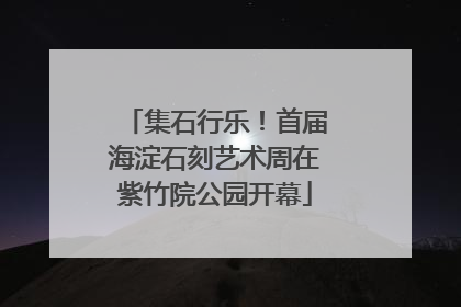 集石行乐！首届海淀石刻艺术周在紫竹院公园开幕