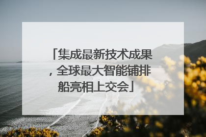 集成最新技术成果，全球最大智能铺排船亮相上交会